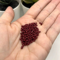 10 or 50 grams Dark Red 12/0 Baking Paint Glass Seed Beads