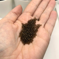 10 or 50 grams Brown Frosted 12/0 Glass Seed Beads, Grade A