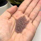 10 or 50 grams Purple Mauve Frosted 12/0 Glass Seed Beads, Grade A