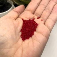 10 or 50 grams Dark Red Frosted 12/0 Glass Seed Beads, Grade A