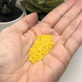 10 or 50 grams Yellow Pearl Frosted 12/0 Glass Seed Beads, Grade A