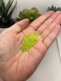 10 or 50 grams Light Green Frosted 12/0 Glass Seed Beads, Grade A