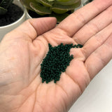 10 or 50 grams Dark Green Frosted 12/0 Glass Seed Beads, Grade A